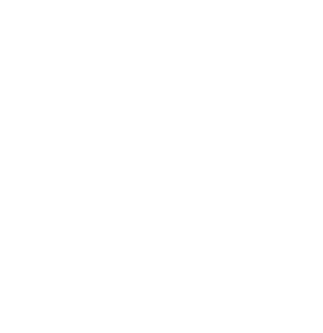 Maico-Mannesmann Group